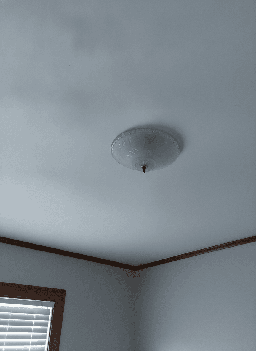 Vintage 1940s-60s Frosted Glass Flush Mount Ceiling Light, 11 in, Floral Etched